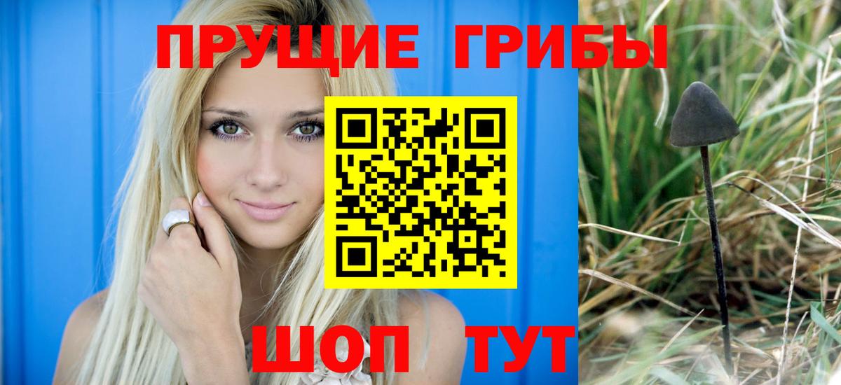 Галлюциногенные грибы GOLDEN TEACHER  Вход с VPN  Псилоцибиновые грибы Cubensis  Заинск 